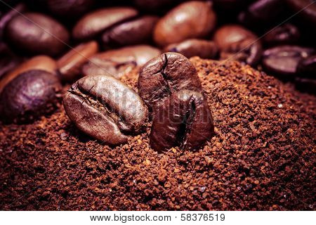 Coffee Bean On Macro For Background