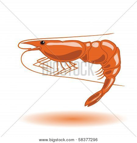 Orange Shrimp