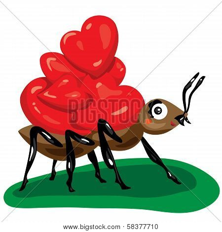 ant with hearts