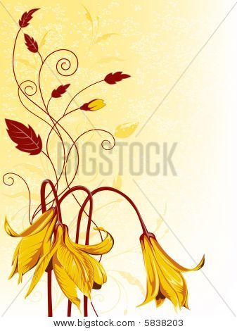 gule blomster