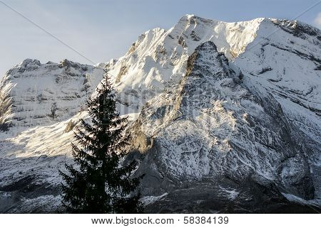 Snowy Mountains And Rocks At Gourette In The Pyrenees, France