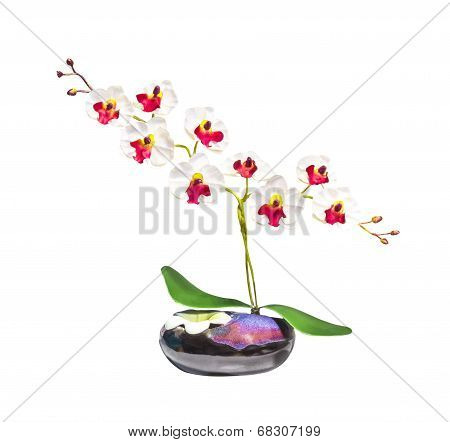Artificial Orchid Flower On White Background