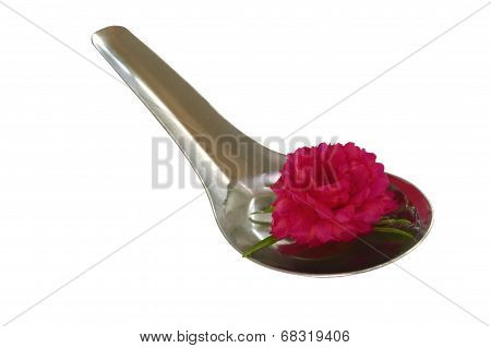 Red flower on the spoon