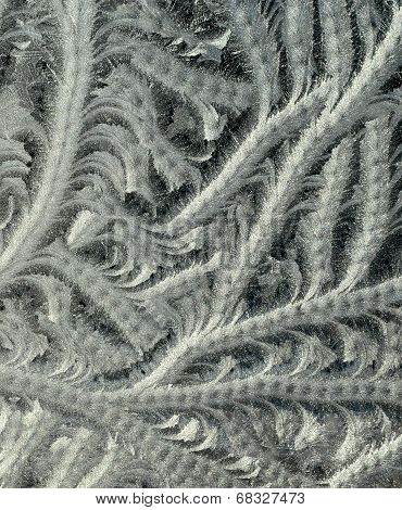 Frosty Pattern