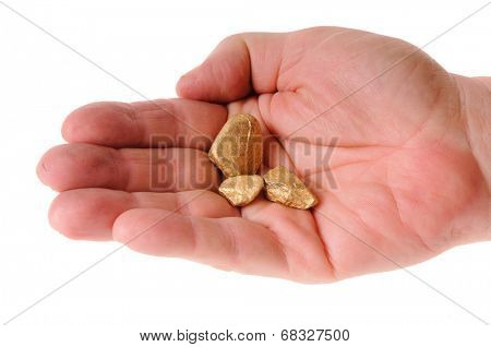 close-up of man's hand holding Gold nuggets and dust