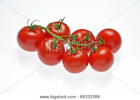 Tomato Panicle
