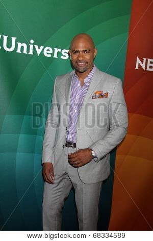 LOS ANGELES - JUL 14:  Wayne Chaney at the NBCUniversal July 2014 TCA at Beverly Hilton on July 14, 2014 in Beverly Hills, CA