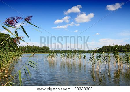 Mazury