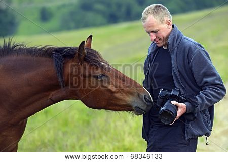 Horse