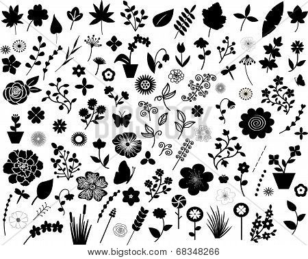 set flowers and floral elements