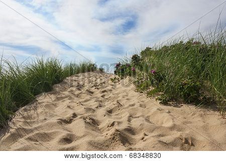 Beach on Cape Cod in Massachusetts