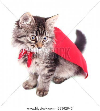 Cat in red cloak, isolated on white. 