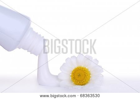 Toothpaste squeezed from tube, chamomile flower, close-up, isolated on white