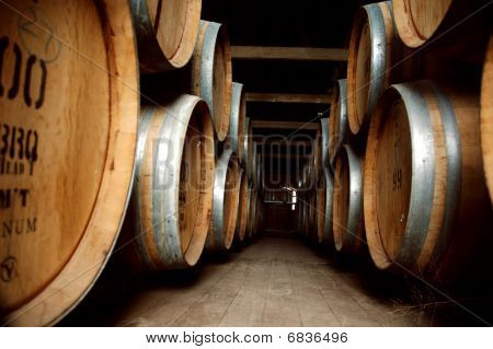 Barrel Abstract