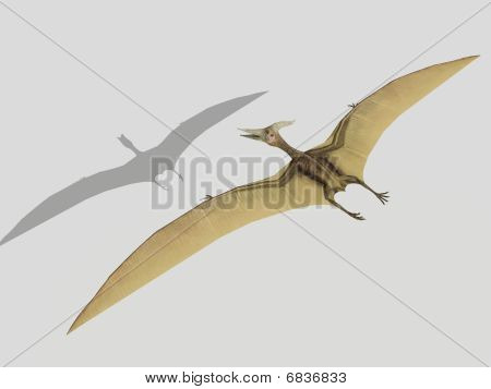Pterodactyl