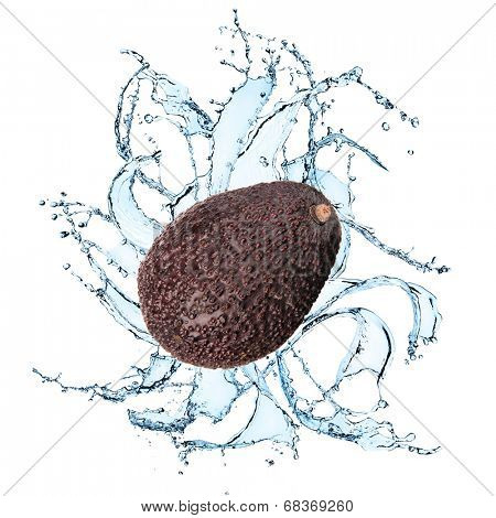 Fresh avocado with water splash over white background