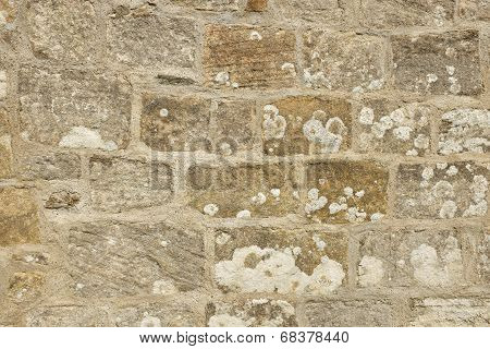 Traditional Lime Mortar Pointing.