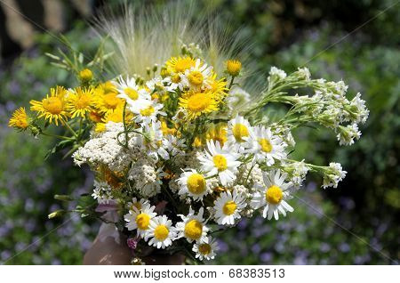 Summer Bouquet Of Wildflowers