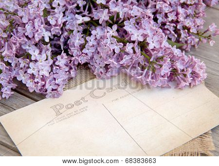 Lilac And Postcard On Weathered Wood