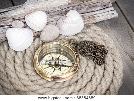 Sea Adventures Background