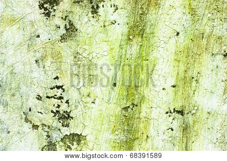 Closeup Image White Wall Old.