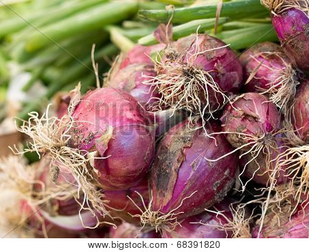 Red Onions On A Market