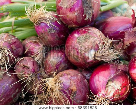 Red Onions On A Market