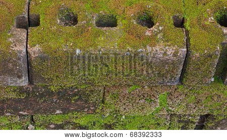 Old Brick Background With Moss Captured.