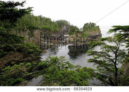 Coastal Cliffs in Washington State