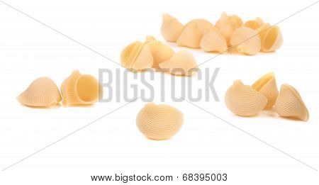 Uncooked pasta lumaconi.