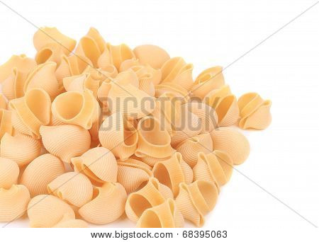 Uncooked pasta lumaconi.