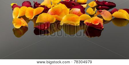 roses as a gift and surprise to a feast. photo icon for birthday, mother's day, love, valentine's day
