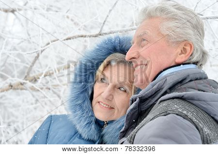 Portrait Of Elderly Couple