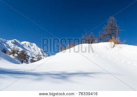 Ski Slope In The Alpine Arc