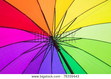 Color pattern of an umbrella