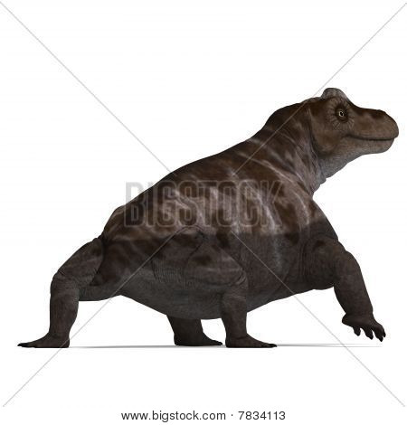 Keratocephalus de dinossauro