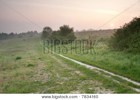 Sunrise Pewley aşağı