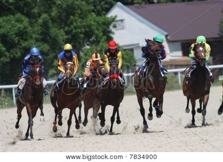 Horse race.