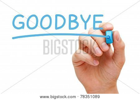 Goodbye Blue Marker