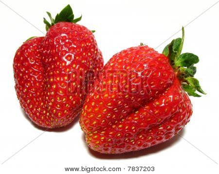Erdbeere