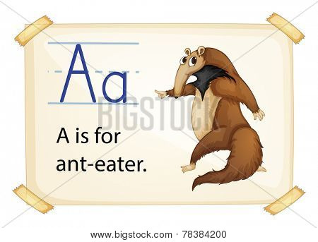 Illustration of alphabet A is for ant-eater