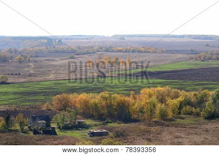Autumn Landscape With Fields And Trees. Russia