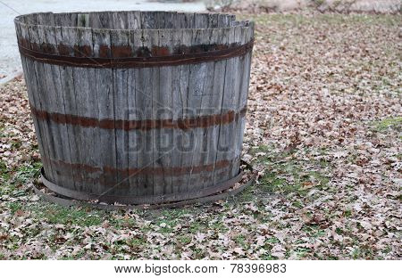 Tub To Pick The Grapes During The Harvest And Wine Making