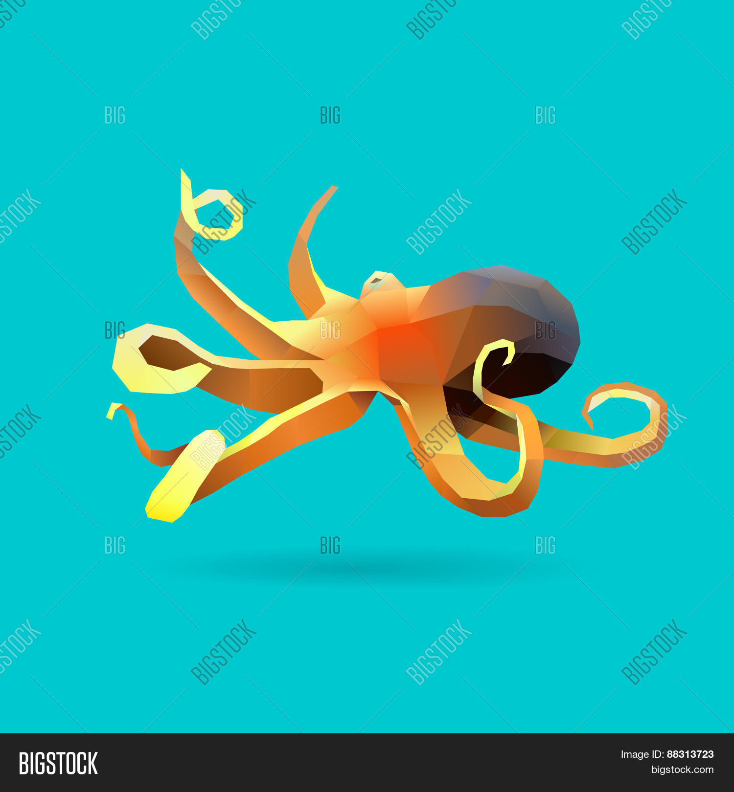 Image Preview