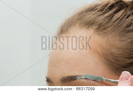 Makeup artist paints the eyebrows model.