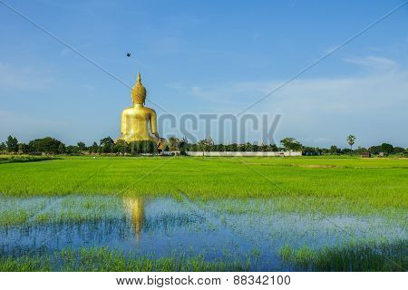Back Of Buddha Image