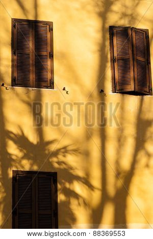 Shadow Of A Palm Tree.