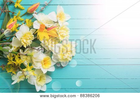 Fresh  Spring  Flowers