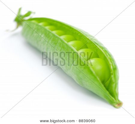 Herne Pod