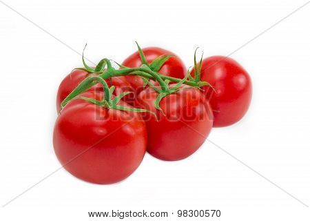 Branch Of Tomatoes